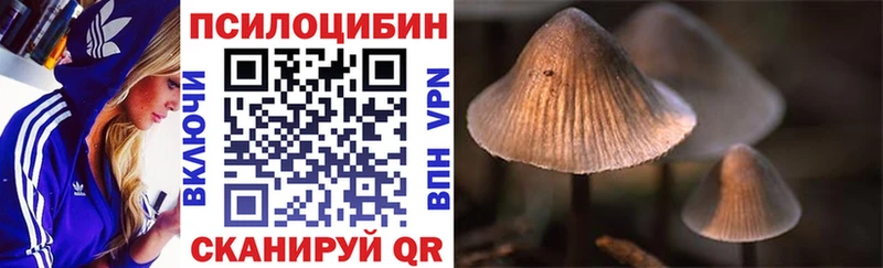 Псилоцибиновые грибы Cubensis  Райчихинск 